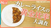 ごはんとルーの美味しいバランスとは？カレーライスの“黄金比率”を調査！【それスタ】