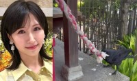 【 横山ルリカ 】神社で“カラスの驚きの行動”を目撃「 なんとカラスが鈴を鳴らしていました」
