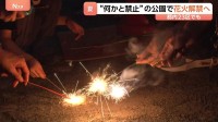 夏の到来を前に「公園での花火」解禁の動き “予約”が必要なケースも 街の人たちの受け止めは？