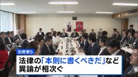 再審制度の見直し、自民党が了承見送り　検察官抗告の原則禁止を「本則に書くべきだ」など異論が相次ぐ　来週以降に再協議へ