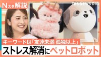孤独は嫌…でもストレスなしのコミュニケーションをとりたい！「友達未満 孤独以上」のペットロボット【Nスタ解説】