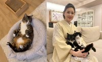 【 藤あや子 】「あれから2年」「他の臓器への転移もなく」　子宮体がんの手術を乗り越えて「この日を迎えられたことは決して当たり前ではない」感謝と決意新た