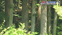 クマが襲ったか、遺体に歯形や深い爪のあと　山中で発見の遺体、山菜採りに出て行方不明の78歳男性と確認  山形・酒田市