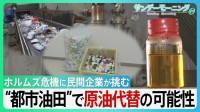 プラごみが原油に？ 日本の民間企業が挑む“都市油田”で原油代替「廃棄物は未利用資源」独自技術でホルムズ危機をチャンスに　GW“資源外交” 高市総理奔走の中【サンデーモーニング】