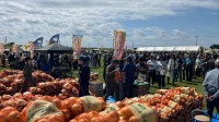 「あっ取れた！」1回200円で“玉ねぎ”のつかみどりも　千葉・白子町で「たまねぎ祭り」開催　県内で玉ねぎ生産量第1位