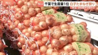 人気の新玉ねぎ10キロ2000円　千葉・白子町で“たまねぎ祭り” 「全然違いますね味が」辛み少なく濃厚な甘さが特徴