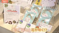 水に浸して土に植えると花が咲く！？不思議な和紙　新たな付加価値とサステナブル【SUNトピ】