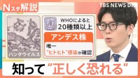 クルーズ船の乗客世界各地へ…感染が広まる心配は？　ハンタウイルス「アンデス株」を知り“正しく恐れる”【Nスタ解説】