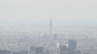 4月の全国の倒産件数　899件　前年同月比+8.8％　原材料価格上昇で「物価高倒産」は最多