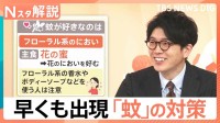 「ぷ～ん」まだ5月なのに…かゆい！早くも出現「蚊」に注意、刺されないために【Nスタ解説】
