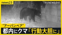 東京住宅街に“体長1m以上”のクマ出没「段々と行動大胆に…」生活圏に徐々に近づく“アーバンベア”対策グッズの最前線は？【news23】