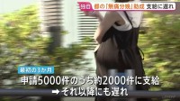 【独自】東京都の「無痛分娩」助成　“想定超える申請”で支給に遅れ　去年10月から“最大10万円”　都道府県で初