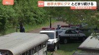 岩手大学にクマが出没・敷地内に留まる　「緊急銃猟」盛岡市内で初の実施を決定　麻酔銃による捕獲・駆除へ