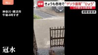 きょうも各地で“ゲリラ雷雨” 横浜では道路が冠水も