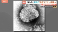 東京都「はしか」緊急ワクチン接種へ　72時間以内にはしか患者と接触した人が対象　感染拡大受け無料で実施