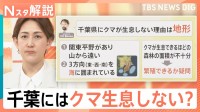 東京のクマ目撃が3倍に急増…一方で千葉はゼロ？専門家が指摘する“地形の壁”と自治体の対策 【Nスタ解説】