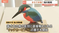 実物大の鳥の彫刻を直接触れる“タッチカービング” 「多くの鳥を触って目の見えない人に記憶してもらいたい」【SUNトピ】