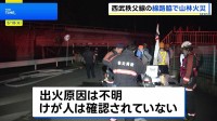 埼玉県の西武秩父線沿線で山林火災 一時運転見合わせ　横瀬町　けが人なし