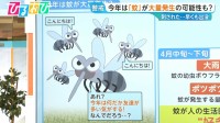 4月の天気で“好条件” 今年は「蚊」が大量発生！？【ひるおび】