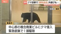 「子どもが遭遇しないか不安」15日に緊急銃猟で駆除もクマ目撃情報3日間で180件の青森市　6割の小中学校で保護者送迎を原則