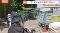 パンチくんで話題の千葉・市川市動植物園　サル山への侵入事件受け「撮影の全面禁止」も検討　サル山の柵に近づけないよう観覧規制