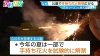 「公園での手持ち花火」解禁広がる　“皆が納得できるルール作りがカギ”【ひるおび】