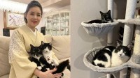 【 ねこ 】歌手・藤あや子の愛猫マル＆オレオがキャットタワーで「二段露天」　ご満悦の様子を連続投稿