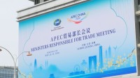 「エネルギーなどの安定供給維持を」APEC貿易相会合が共同声明を採択