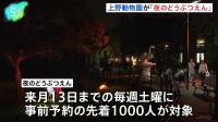 15年ぶり“パンダ不在”の上野動物園で「夜のどうぶつえん」　内容拡充し新たな魅力発信に注力　東京都