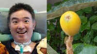 【 ALS闘病 】声優・津久井教生さん　「鳥さんとらないでね♡」初めて育てるベランダの“びわ”の成長に喜び「しっかり口で味わいます」【ニャンちゅう】