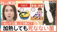 “チャーハン症候群”にご注意！ においや味で見分け困難…熱に強い食中毒菌 対策は？【Nスタ解説】