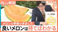 おいしいメロンの見分け方、ツルに近い上部と、下部のおしりではどちらが甘い？【Nスタ解説】