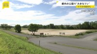 都内の公園で「大きなフン」 野生動物の専門家「クマの可能性も捨てきれない」JR立川駅から4キロほど離れた東京・昭島市の公園