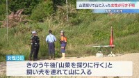 「山菜を採りに行く」山に入った50代女性が行方不明　飼い犬も見つからず　長野・大町市