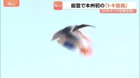 石川で本州初の「トキ放鳥」56年ぶり能登の空に…秋篠宮ご夫妻も出席　野生復帰に向け環境整備が進められる　羽咋市