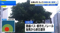 【台風6号】暴風域伴い沖縄へ、路線バス・都市モノレール 始発から終日運休　各航空会社も全便欠航　多くの学校も休校