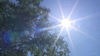 東日本と北日本で気温上昇 全国140地点以上で真夏日に　“35℃以上”の猛暑日予想も