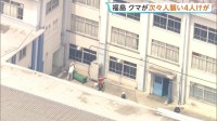 クマが工場・住宅地で人を次々に襲い男女4人けが クマは市内の会社敷地にとどまり警察が対応続ける　福島