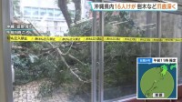 【台風6号】鉄骨がむき出しに…沖縄県内各地で倒木被害など相次ぐ 台風により16人けが　本島と周辺離島で1万戸あまり停電