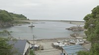 神奈川・真鶴町の海で男女4人が見つかる　いずれも死亡　近くの防犯カメラには橋から飛び降りる人の様子　警察が関連を捜査
