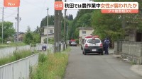 激しい損傷　秋田市河辺の山林で73歳女性の遺体見つかる　農作業中に襲われたか　付近でクマ1頭駆除