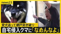 防犯カメラにクマ襲撃の瞬間 住宅街などで4人襲い福島市の工場内に居座る　相次ぐ“クマ被害”　岩手・自宅侵入のクマに「なめんなよ」【news23】
