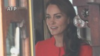 英キャサリン妃　がん研究支援団体レセプション出席