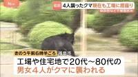 福島市で4人襲ったクマ“丸1日”たった現在も工場内に　建物内に引火性のものがあり麻酔銃などで捕獲試みる