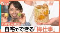 大変だけど…やったらハマる「梅仕事」の魅力とは？ 意外と簡単 自分流アレンジ【Nスタ】