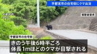 宇都宮市の住宅街でクマ目撃　体長1メートルほど　きょうも警察や猟友会などによる警戒活動