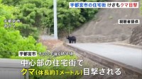 けさも…「目を疑った」宇都宮市の住宅街で目撃相次ぐ　警察には約20件の通報　6日夕方には体長1mほどのクマ目撃…警察や猟友会などが警戒続ける