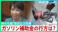 店頭から消える“色彩”…ナフサ問題「流通の目詰まり」　野党は“買い占め”に政府介入求めるも高市総理は否定的　補正予算めぐり論戦、ガソリン補助金見直しの行方は？【サンデーモーニング】