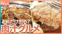 肉汁出まくりグルメ！肉汁ハンバーグに豪快骨付き鳥、巨大ギョーザからどれだけあふれる？人気の秘密とこだわりを調べてきました！【それスタ】
