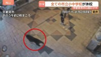 「一目で鳥肌が立った」カメラが捉えた疾走するクマ…目撃情報相次ぐ　すべての市立小中学校が臨時休校 “中学校の校庭でも目撃”　栃木・宇都宮市